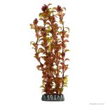 Штучна рослина Hobby Rotala 30см. (41518) 13811.970 AquaDeco Shop