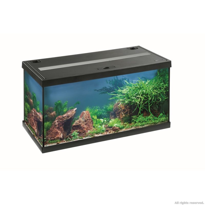 Акваріумний комплект Eheim aquastar 54 LED чорний (0340645) 13987.970 AquaDeco Shop