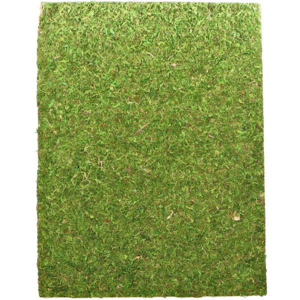 Фон моховой Repti-Zoo Natural Moss Back & Bottom 50x25см 2шт. (NCM5025) | AquaDeco shop;Фон моховой Repti-Zoo Natural Moss Back & Bottom 50x25см 2шт. (NCM5025) | AquaDeco shop;Фон моховой Repti-Zoo Natural Moss Back & Bottom 50x25см 2шт. (NCM5025) | AquaDeco shop;Фон моховой Repti-Zoo Natural Moss Back & Bottom 50x25см 2шт. (NCM5025) | AquaDeco shop;Фон моховой Repti-Zoo Natural Moss Back & Bottom 50x25см 2шт. (NCM5025) | AquaDeco shop;Фон моховой Repti-Zoo Natural Moss Back & Bottom 50x25см 2шт. (NCM5025) | AquaDeco shop;Фон моховой Repti-Zoo Natural Moss Back & Bottom 50x25см 2шт. (NCM5025) | AquaDeco shop;Фон моховой Repti-Zoo Natural Moss Back & Bottom 50x25см 2шт. (NCM5025) | AquaDeco shop;Фон моховой Repti-Zoo Natural Moss Back & Bottom 50x25см 2шт. (NCM5025) | AquaDeco shop;Фон моховой Repti-Zoo Natural Moss Back & Bottom 50x25см 2шт. (NCM5025) | AquaDeco shop