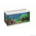 Аквариумный комплект Eheim aquastar 54 LED белый (0340646) 13995.970 AquaDeco Shop