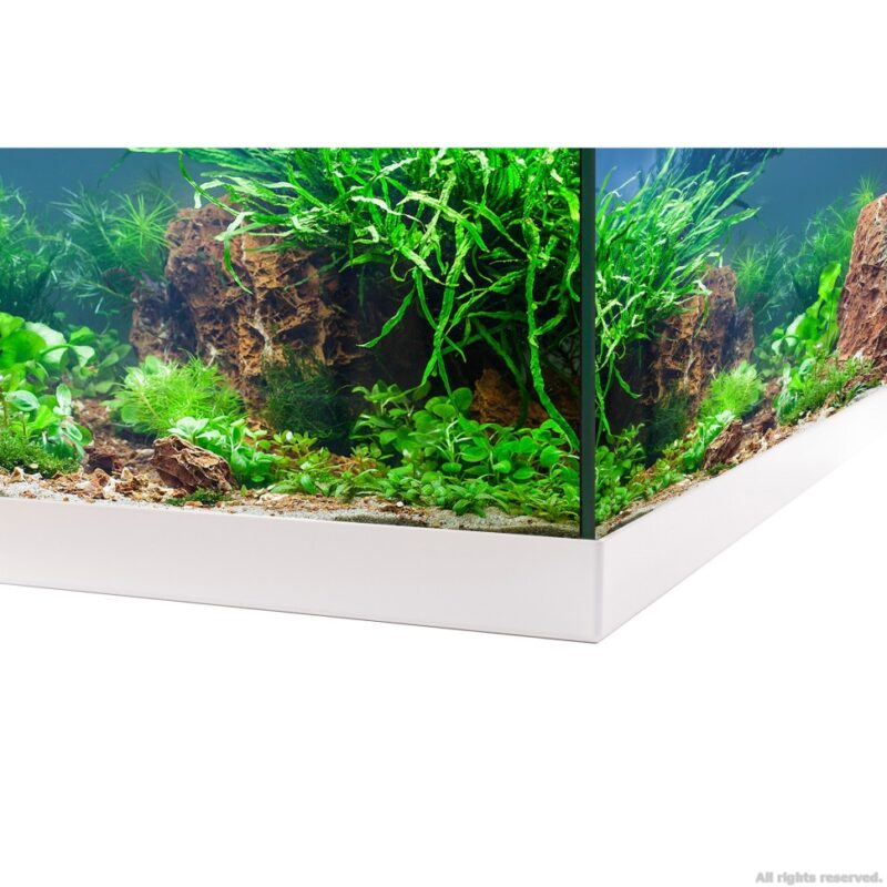 Акваріумний комплект Eheim aquastar 54 LED білий (0340646) 13997.970 AquaDeco Shop