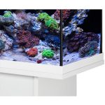 Акваріумний комплект Eheim aquastar 63 marine LED білий (0340702) 14011.970 AquaDeco Shop