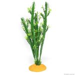 Искусственное растение кактус Hobby Euphorbia L 25x10x49см (37000) | AquaDeco shop;Искусственное растение кактус Hobby Euphorbia L 25x10x49см (37000) | AquaDeco shop;Искусственное растение кактус Hobby Euphorbia L 25x10x49см (37000) | AquaDeco shop;Искусственное растение кактус Hobby Euphorbia L 25x10x49см (37000) | AquaDeco shop;Искусственное растение кактус Hobby Euphorbia L 25x10x49см (37000) | AquaDeco shop;Искусственное растение кактус Hobby Euphorbia L 25x10x49см (37000) | AquaDeco shop;Искусственное растение кактус Hobby Euphorbia L 25x10x49см (37000) | AquaDeco shop;Искусственное растение кактус Hobby Euphorbia L 25x10x49см (37000) | AquaDeco shop;Искусственное растение кактус Hobby Euphorbia L 25x10x49см (37000) | AquaDeco shop;Искусственное растение кактус Hobby Euphorbia L 25x10x49см (37000) | AquaDeco shop