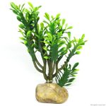 Искусственное растение кактус Hobby Euphorbia M 15x7x17см (36999) | AquaDeco shop;Искусственное растение кактус Hobby Euphorbia M 15x7x17см (36999) | AquaDeco shop;Искусственное растение кактус Hobby Euphorbia M 15x7x17см (36999) | AquaDeco shop;Искусственное растение кактус Hobby Euphorbia M 15x7x17см (36999) | AquaDeco shop;Искусственное растение кактус Hobby Euphorbia M 15x7x17см (36999) | AquaDeco shop;Искусственное растение кактус Hobby Euphorbia M 15x7x17см (36999) | AquaDeco shop;Искусственное растение кактус Hobby Euphorbia M 15x7x17см (36999) | AquaDeco shop;Искусственное растение кактус Hobby Euphorbia M 15x7x17см (36999) | AquaDeco shop;Искусственное растение кактус Hobby Euphorbia M 15x7x17см (36999) | AquaDeco shop;Искусственное растение кактус Hobby Euphorbia M 15x7x17см (36999) | AquaDeco shop