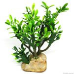 Искусственное растение кактус Hobby Euphorbia M 15x7x17см (36999) 16308.970 AquaDeco Shop