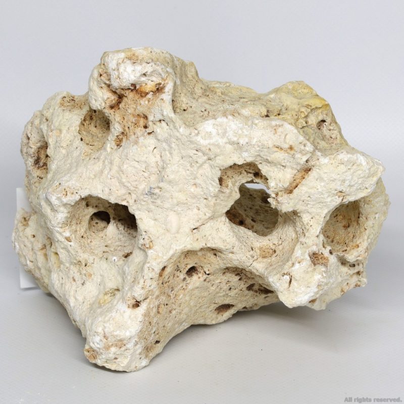 Декоративный природный камень Hobby Cavity Rocks Asian M 1-2кг (40651) | AquaDeco shop;Декоративный природный камень Hobby Cavity Rocks Asian M 1-2кг (40651) | AquaDeco shop;Декоративный природный камень Hobby Cavity Rocks Asian M 1-2кг (40651) | AquaDeco shop;Декоративный природный камень Hobby Cavity Rocks Asian M 1-2кг (40651) | AquaDeco shop;Декоративный природный камень Hobby Cavity Rocks Asian M 1-2кг (40651) | AquaDeco shop;Декоративный природный камень Hobby Cavity Rocks Asian M 1-2кг (40651) | AquaDeco shop;Декоративный природный камень Hobby Cavity Rocks Asian M 1-2кг (40651) | AquaDeco shop;Декоративный природный камень Hobby Cavity Rocks Asian M 1-2кг (40651) | AquaDeco shop;Декоративный природный камень Hobby Cavity Rocks Asian M 1-2кг (40651) | AquaDeco shop;Декоративный природный камень Hobby Cavity Rocks Asian M 1-2кг (40651) | AquaDeco shop