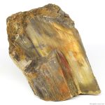 Декоративный природный камень Hobby Petrified Wood S 0.3-1.0кг (40686) | AquaDeco shop;Декоративный природный камень Hobby Petrified Wood S 0.3-1.0кг (40686) | AquaDeco shop;Декоративный природный камень Hobby Petrified Wood S 0.3-1.0кг (40686) | AquaDeco shop;Декоративный природный камень Hobby Petrified Wood S 0.3-1.0кг (40686) | AquaDeco shop;Декоративный природный камень Hobby Petrified Wood S 0.3-1.0кг (40686) | AquaDeco shop;Декоративный природный камень Hobby Petrified Wood S 0.3-1.0кг (40686) | AquaDeco shop;Декоративный природный камень Hobby Petrified Wood S 0.3-1.0кг (40686) | AquaDeco shop;Декоративный природный камень Hobby Petrified Wood S 0.3-1.0кг (40686) | AquaDeco shop;Декоративный природный камень Hobby Petrified Wood S 0.3-1.0кг (40686) | AquaDeco shop;Декоративный природный камень Hobby Petrified Wood S 0.3-1.0кг (40686) | AquaDeco shop