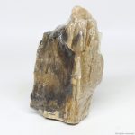 Декоративный природный камень Hobby Petrified Wood S 0.3-1.0кг (40686) 16385.970 AquaDeco Shop