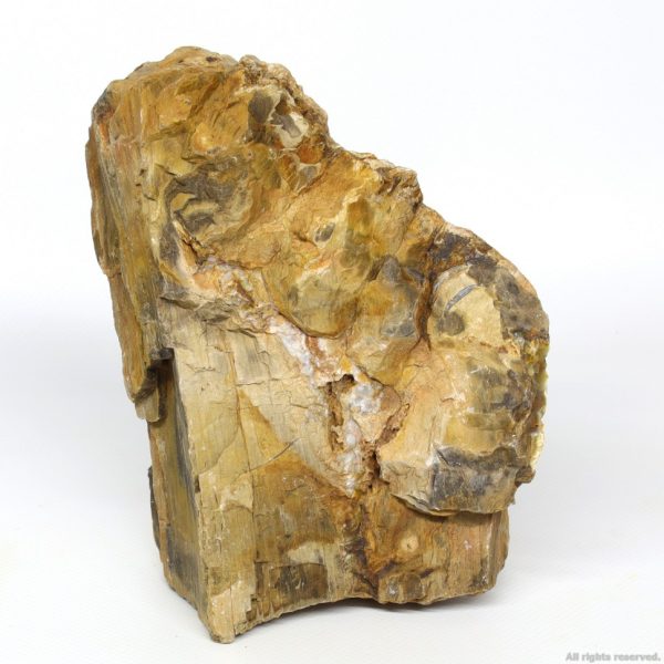 Декоративный природный камень Hobby Petrified Wood M 1-2.2кг (40687) | AquaDeco shop;Декоративный природный камень Hobby Petrified Wood M 1-2.2кг (40687) | AquaDeco shop;Декоративный природный камень Hobby Petrified Wood M 1-2.2кг (40687) | AquaDeco shop;Декоративный природный камень Hobby Petrified Wood M 1-2.2кг (40687) | AquaDeco shop;Декоративный природный камень Hobby Petrified Wood M 1-2.2кг (40687) | AquaDeco shop;Декоративный природный камень Hobby Petrified Wood M 1-2.2кг (40687) | AquaDeco shop;Декоративный природный камень Hobby Petrified Wood M 1-2.2кг (40687) | AquaDeco shop;Декоративный природный камень Hobby Petrified Wood M 1-2.2кг (40687) | AquaDeco shop;Декоративный природный камень Hobby Petrified Wood M 1-2.2кг (40687) | AquaDeco shop;Декоративный природный камень Hobby Petrified Wood M 1-2.2кг (40687) | AquaDeco shop