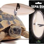 природный известняк для рептилий Terrario Sepia Bone 10-15см | AquaDeco shop;Сепия для черепах