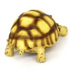 Декорация декоративная черепаха Hobby Turtle 2 10x6x5см (36352) 18662.970 AquaDeco Shop