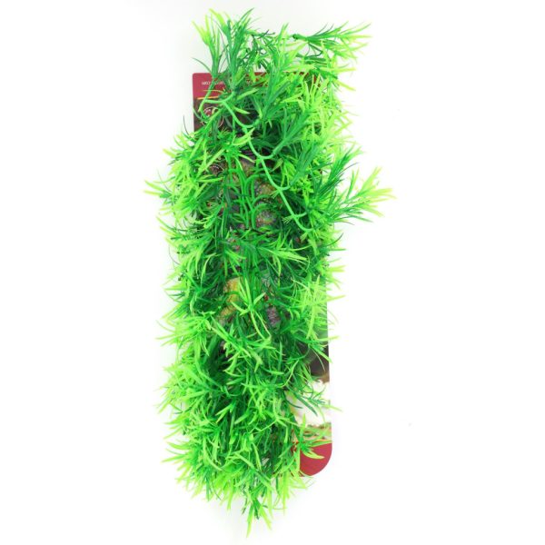 Искусственное растение Hobby Climber Tropica 70см (37013) | AquaDeco shop;Искусственное растение Hobby Climber Tropica 70см (37013) | AquaDeco shop;Искусственное растение Hobby Climber Tropica 70см (37013) | AquaDeco shop;Искусственное растение Hobby Climber Tropica 70см (37013) | AquaDeco shop;Искусственное растение Hobby Climber Tropica 70см (37013) | AquaDeco shop;Искусственное растение Hobby Climber Tropica 70см (37013) | AquaDeco shop;Искусственное растение Hobby Climber Tropica 70см (37013) | AquaDeco shop;Искусственное растение Hobby Climber Tropica 70см (37013) | AquaDeco shop;Искусственное растение Hobby Climber Tropica 70см (37013) | AquaDeco shop;Искусственное растение Hobby Climber Tropica 70см (37013) | AquaDeco shop