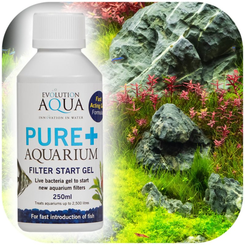 Бактерії в гелі Evolution Aqua PURE AQUARIUM FILTER START GEL 250мл. 18745.970 AquaDeco Shop