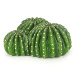 5x22x10см (36241) | AquaDeco shop;Декорация пещера кактус Hobby Cactus Home 1 22