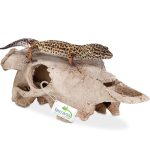 Декорация черепа буйвола Terrario Buffalo Skull 21x12x8см (22128) 20653.970 AquaDeco Shop