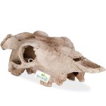 Декорация черепа буйвола Terrario Buffalo Skull 21x12x8см (22128) 20655.970 AquaDeco Shop