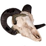 Декорація череп барана Terrario Ram Skull 19x16x11см (191712) 20661.970 AquaDeco Shop