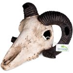 Декорация черепа барана Terrario Ram Skull 19x16x11см (191712) 20662.970 AquaDeco Shop