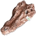 Декорация череп крокодила Terrario Crocodile Skull 30x14x9см (A15911) 20666.970 AquaDeco Shop