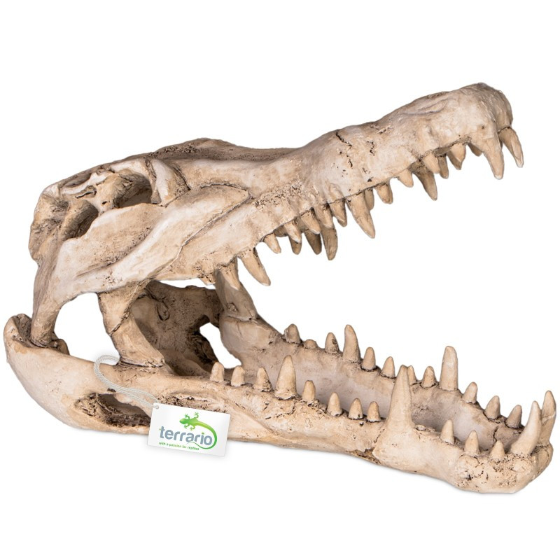 Декорация череп крокодила Terrario Crocodile Skull XL 23x11x16см (251115)