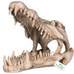 Декорация череп крокодила Terrario Crocodile Skull XL 23x11x16см (251115) 20672.970 AquaDeco Shop