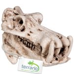 Декорация череп бегемота Terrario Hippo Skull 5x3x3см (533)