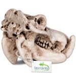 Декорация череп бегемота Terrario Hippo Skull 5x3x3см (533) 20676.970 AquaDeco Shop