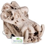 Декорация череп бегемота Terrario Hippo Skull 5x3x3см (533) 20677.970 AquaDeco Shop