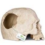 Декорация черепа человека Terrario Human Skull 14x11x11см (151211) 20685.970 AquaDeco Shop