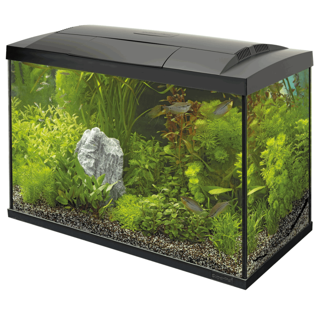 Акваріумний стартовий набір SuperFish Start 70 Aquarium Kit Black (A4050285)