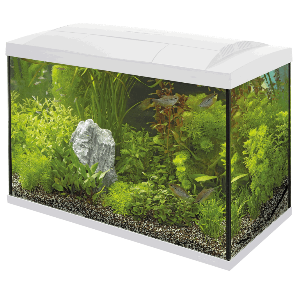 Акваріумний стартовий набір SuperFish Start 70 Aquarium Kit White (A4050287)