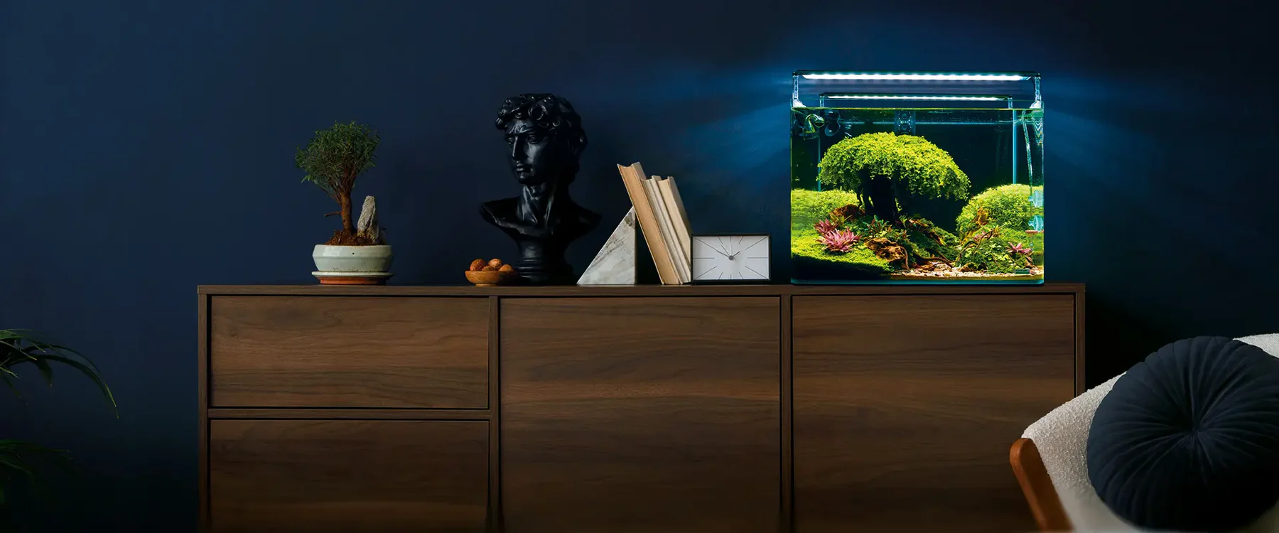 Типи акваріумів: знайдіть свій ідеальний підводний світ 2 AquaDeco Shop Типи акваріумів: знайдіть свій ідеальний підводний світ Aquarien header AquaDeco Shop