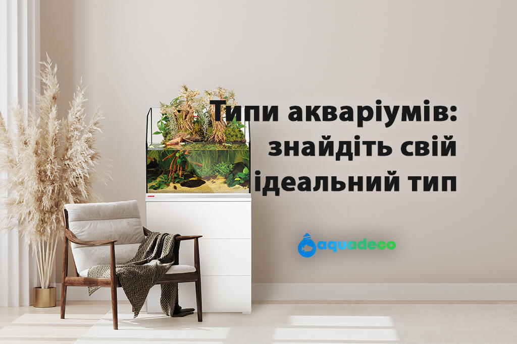 Типи акваріумів: знайдіть свій ідеальний підводний світ 1 AquaDeco Shop Типи акваріумів: знайдіть свій ідеальний підводний світ aquaar AquaDeco Shop