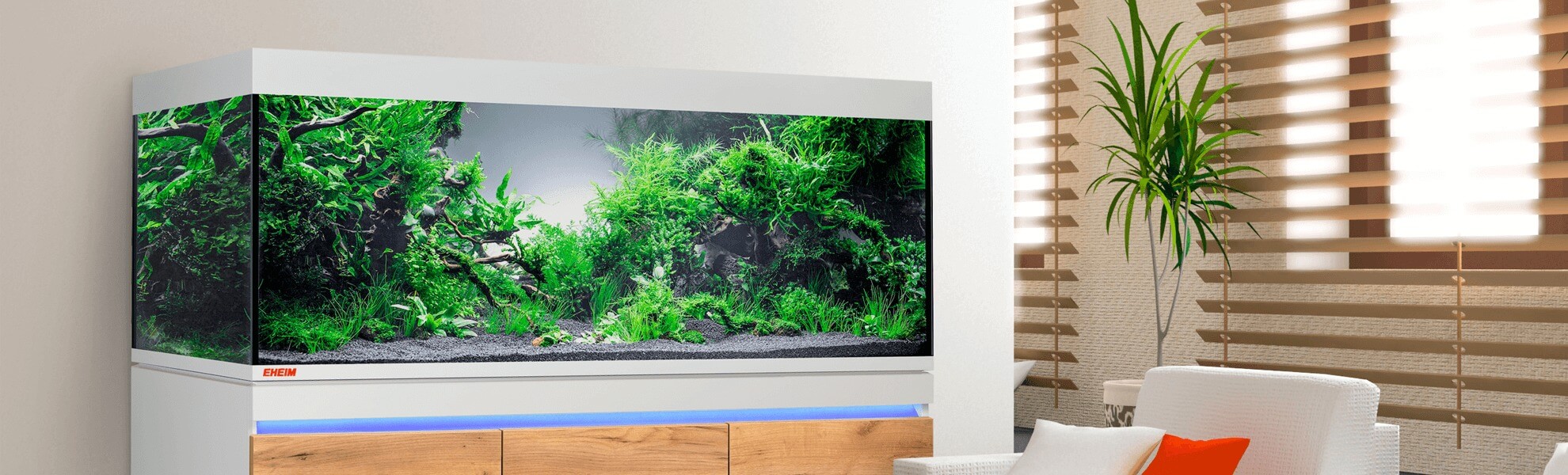 Типи акваріумів: знайдіть свій ідеальний підводний світ 8 AquaDeco Shop Типи акваріумів: знайдіть свій ідеальний підводний світ inspira AquaDeco Shop